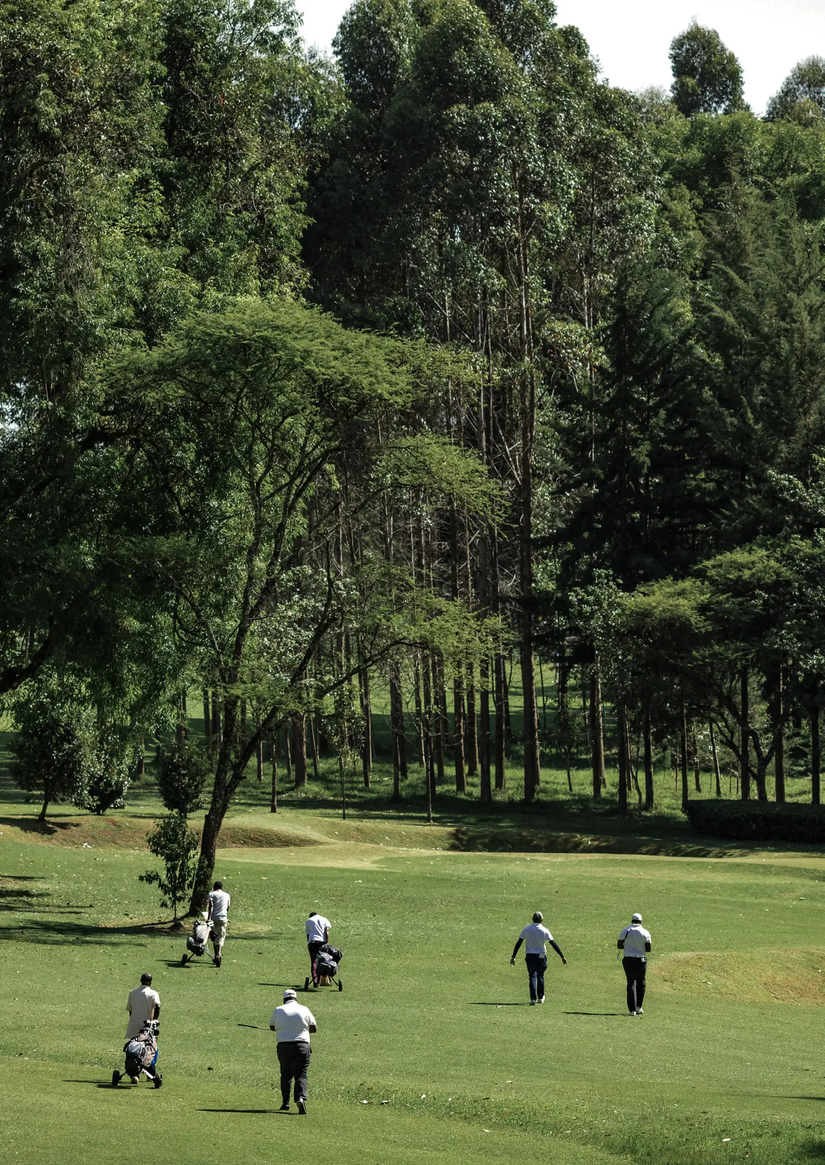 Villa Oak in Sotogrande Alto. Key ready project. - Photo 4