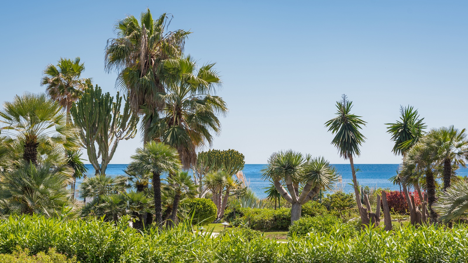 Elegance Redefined: Brand New Beachfront Apartment on Estepona's Golden Mile